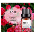 Best price CAS 8007-01-0 Rose essential oil online